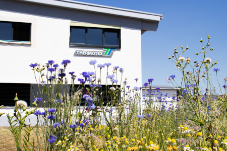 Blumenwiese 03